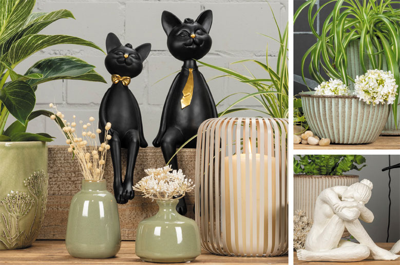 Viertes Eröffnungsbild - Importeur und Großhandel für Floristenbedarf